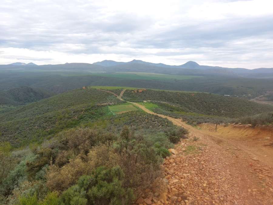 4 Bedroom Property for Sale in Oudtshoorn Rural Western Cape